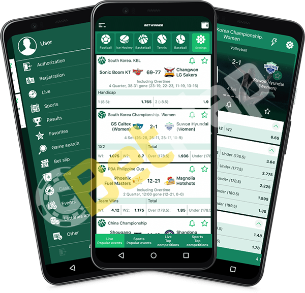 Everything You Need to Know About Betwinner App 3